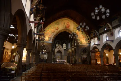 DSC_7293 (Large).JPG